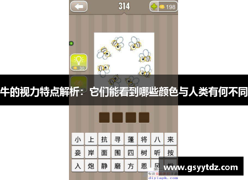 牛的视力特点解析：它们能看到哪些颜色与人类有何不同